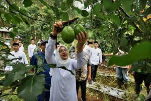 Ngantor di Desa Bumiharjo, Bupati Ipuk Gali Berbagai Potensi Pertanian