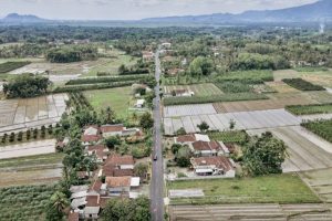 DPU CKPP Banyuwangi Genjot Revitalisasi Jalan, Tahun Ini Target 400 KM Tercapai