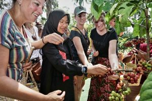 Angkat Kopi Rakyat, Banyuwangi Gelar Festival Kopi Kalibaru