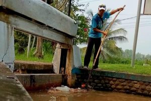 Tim Korsda Pesanggaran Lakukan Pemeliharaan Rutin Saluran BKS 1 Kejuron Kebundalem