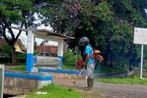 Giat Rutin, Tim PPA Kejuron Siliragung Korsda Pesanggaran Babat Rumput Area Saluran Irigasi