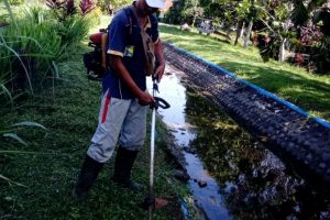 Korsda Pesanggaran Lakukan Pemeliharaan Rutin Saluran BKS 4 Kejuron Silir