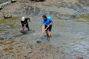 Petugas Korsda Glenmore Lakukan Pembersihan Area Dam Sepanjang 