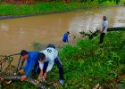 Pohon Tumbang Akibat Hujan Deras, Petugas Korsda Genteng Sigap Tangani Hambatan Saluran Air